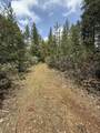  Ponderosa Way - Photo 7