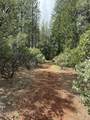  Ponderosa Way - Photo 8