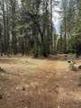  Ponderosa Way - Photo 9