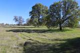 Lot 54 Arlington Park Place - Photo 9