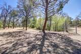 21533 Anron Lane - Photo 42