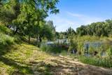 23204 Placid Road - Photo 60