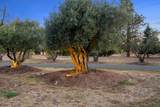 23204 Placid Road - Photo 67