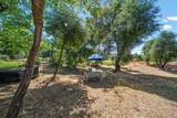 15907 Cindee Lane - Photo 60