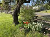 24795 Long Street - Photo 37