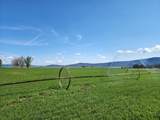 2935 Sheep Mountain Road - Photo 11