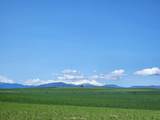 2935 Sheep Mountain Road - Photo 12