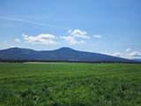 2935 Sheep Mountain Road - Photo 13