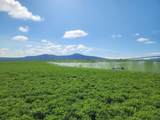 2935 Sheep Mountain Road - Photo 3