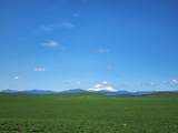 2935 Sheep Mountain Road - Photo 34