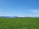 2935 Sheep Mountain Road - Photo 37