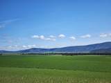 2935 Sheep Mountain Road - Photo 39