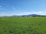 2935 Sheep Mountain Road - Photo 44