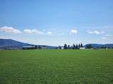 2935 Sheep Mountain Road - Photo 45