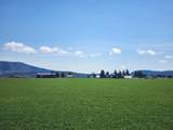 2935 Sheep Mountain Road - Photo 47