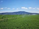 2935 Sheep Mountain Road - Photo 48