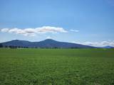 2935 Sheep Mountain Road - Photo 49