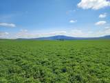 2935 Sheep Mountain Road - Photo 5