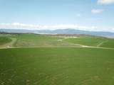 2935 Sheep Mountain Road - Photo 50
