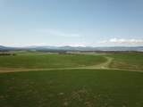 2935 Sheep Mountain Road - Photo 51
