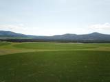 2935 Sheep Mountain Road - Photo 54