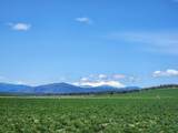 2935 Sheep Mountain Road - Photo 6