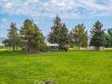 2935 Sheep Mountain Road - Photo 64