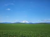 2935 Sheep Mountain Road - Photo 9