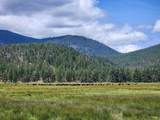 1827 Ball Mountain Little Shasta Road - Photo 109