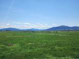 1827 Ball Mountain Little Shasta Road - Photo 110