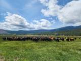 1827 Ball Mountain Little Shasta Road - Photo 113