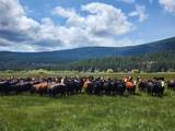 1827 Ball Mountain Little Shasta Road - Photo 114