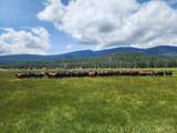 1827 Ball Mountain Little Shasta Road - Photo 115