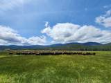 1827 Ball Mountain Little Shasta Road - Photo 119