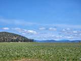 1827 Ball Mountain Little Shasta Road - Photo 99