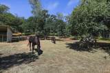 18420 Wildridge Road - Photo 46