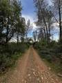60-Acres Donkey Mine Road - Photo 1