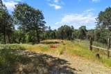 16512 Bo Lane - Photo 19