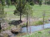 000 Roney Flat Road - Photo 15