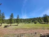 000 Roney Flat Road - Photo 5