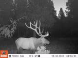 2125 Lava - Photo 29