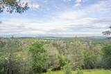 16785 Billy Lane - Photo 46