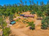 17972 Wild Weed Way - Photo 49