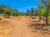 17972 Wild Weed Way - Photo 51