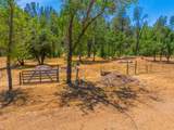17972 Wild Weed Way - Photo 52