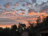 17972 Wild Weed Way - Photo 80