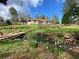 13518 Oak Run Road - Photo 3