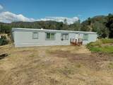 21484 Driftwood Trail - Photo 1