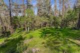 9200 Silver King Road - Photo 8