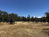 Wilson Hill Road - Photo 1